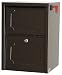 dVault Mailboxes Delivery Vault Junior Mailbox - DVJR0060-5, Copper Vein