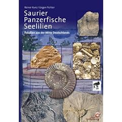 Saurier, Panzerfische und Seelilien: Fossilien aus der Mitte Deutschlands