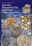 Saurier, Panzerfische und Seelilien: Fossilien aus der Mitte Deutschlands