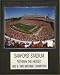 NCAA Football Sanford Stadium Stadium Plaque