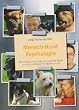 Mensch-Hund Psychologie: Wie Mensch und Hund miteinander leben und sich gegenseitig beeinflussen