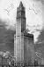 Art Poster, Woolworth Building - 18.75 x 27.5