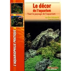 Le d�cor de l'aquarium : Tout le paysage de l'aquarium