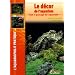 Le d�cor de l'aquarium : Tout le paysage de l'aquarium