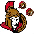 Ottawa Senators Removable Logo - 24x24"