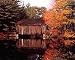 Covered Bridge 16 x 20 City Land & Sea Art Print Posters