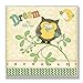 The Kids Room by Stupell Dream Big Little One with Owl Square Wall Plaque