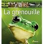 La grenouille de Corinne Chesne