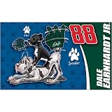 Hunter Dale Earnhardt, Jr. Pet Mat