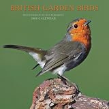 British Garden Birds 2008 Square Wall