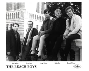 Image of The Beach Boys