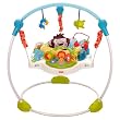 Fisher-Price Precious Planet Jumperoo