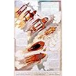 Buck Rogers - Movie Poster