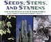 Seeds, Stems, And Stamens: The