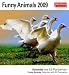 Funny Animals 2009: Kalender mit 53 heraustrennbaren Postkarten