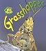 Grasshopper (Bug Books)