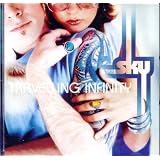 Travelling Infinityby Sky