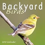 Backyard Birds 2010 Mini Calendar