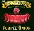 PURPLE ONION