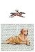 Antique Racers (Horses) Glass Cutting Board