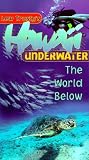 Hawaii Underwater [VHS]