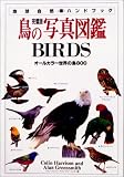 Ļ�μ̿��޴� �����ǡ������륫�顼������Ļ800