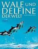 Wale und Delfine der Welt