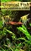 Tropical Fish for Community Tanks by Waltraud Weiss