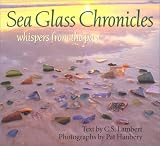 Sea Glass Chronicles: Whispers from the Past