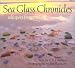  Sea Glass Chronicles 