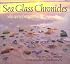 Sea Glass Chronicles