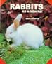 Rabbits as a New Pet