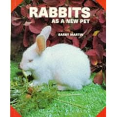 Rabbits as a New Pet