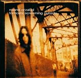 Tomcats Screaming Outside