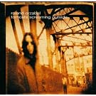 Tomcats Screaming Outside