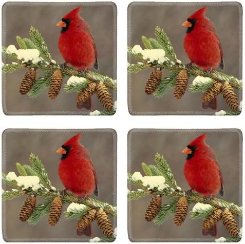 Cardinal Bird Branch Grosbeaks Pets Square Coaster (4 Piece) Set Fabric Rubber 5 Inch Size Luxlady Coaster Cup Mug Can Water Bottle Drink Coasters Stain Resistance Collector Kit Kitchen Table Top Desk