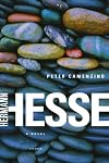 Peter Camenzind