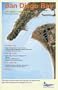 San Diego Bay Fishing Chart & Guide