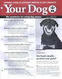 Your Dog