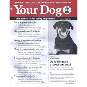 Your Dog by