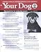 Your Dog