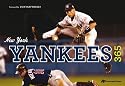 New York Yankees 365 (365's)