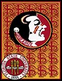 Florida State Seminoles NCAA 48x60 Triple Woven Throw Blanket
