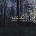 Tony Wakeford-Into the Woods