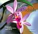 Easy Orchids: Simple Secrets for Glorious Gardens--Indoors and Out