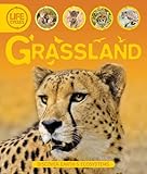 Grassland