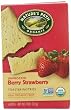 Nature's Path Organic Toaster Pastries, Berry Strawberry (Not Frosted), 6-Count Boxes (Pack of 12)