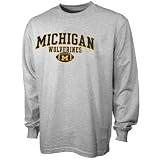 Champion Michigan Wolverines Ash Football Long Sleeve T-shirt