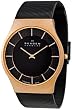 Skagen Denmark Mens Titanium Watch 803XLTRB