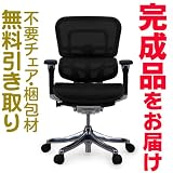 エルゴヒューマンプラス　完成品　ロータイプ　エラストメリックメッシュ　ブラック　Ergohuman plus ＥＨＰ-ＬＡＭ　ＫＭ-11の画像
